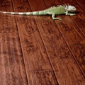 Ламинат Ecoflooring